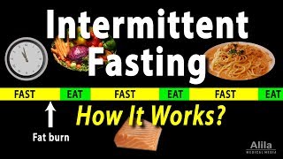 Intermittent Fasting  How it Works Animation [upl. by Fedak399]