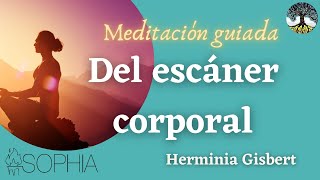 Meditación guiada del escáner corporal [upl. by Yrallih259]