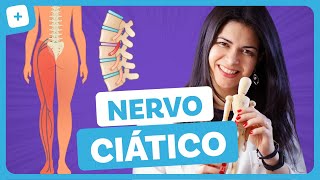 EXERCÍCIOS PARA CURAR NERVO CIÁTICO INFLAMADO [upl. by Terryl]