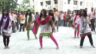 flash mob MBSTU TEXTILE 7th batch Rag Day [upl. by Bab22]