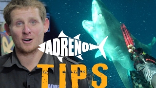 Spearfishing with Sharks Tigers White Pointers Bullsharks  ADRENO [upl. by Aryl]