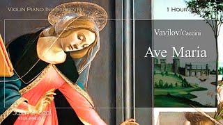 1Hour Ave Maria VavilovCaccini バビロフカッチーニの アヴェ・マリア PianoViolin Cover  Extended [upl. by Fransen]