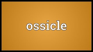 Ossicle Meaning [upl. by Malva]