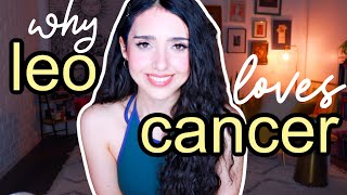 Leo and Cancer Compatibility What works what needs work Relationships [upl. by Yslehc197]