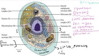 Biochemistry Lecture 1 Introduction [upl. by Ashleigh]