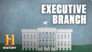 What Is the Executive Branch of the US Government  History [upl. by Aidin310]