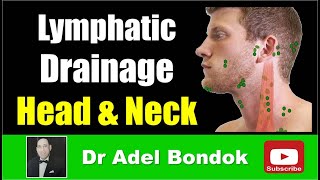 Lymphatic Drainage of the Head and Neck Dr Adel Bondok [upl. by Ibrik65]