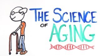 The Science of Aging [upl. by Ilat]