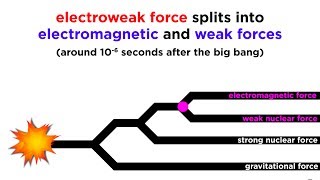 Quantum Gravity and Gravitons The Search for a Theory of Everything [upl. by Zednanreh224]