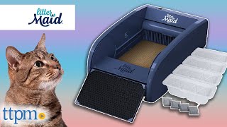 SelfCleaning Litter Box Review  LitterMaid  TTPM Pet Review [upl. by Lytsirk516]