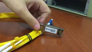 How to install and remove 10G SFP SR Modules [upl. by Acinaj]