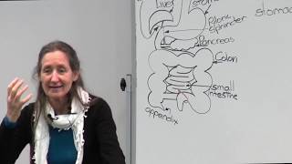 Barbara ONeill  Part 13 Improving health through digestion [upl. by Crelin]