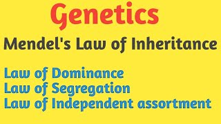 Genetics  Mendels Law of Inheritance  Pravin Bhosale [upl. by Vidda717]