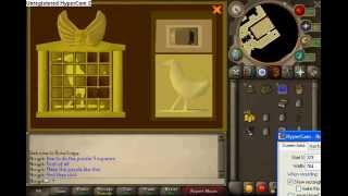 RuneScape How to do Icthlarins Little Helpers puzzle [upl. by Coffin596]