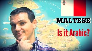 Maltese IS IT ARABIC [upl. by Incrocci]