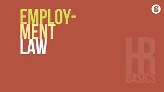 HR Basics Employment Law [upl. by Tildy]