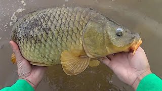 Keep It Simple Carp Fishing  Easy Method For Catching Carp [upl. by Limoli]