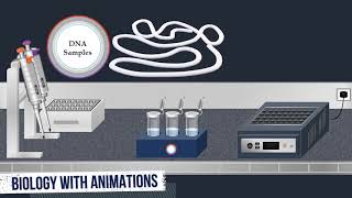 Southern Blot Method  Animated Video [upl. by Supen844]