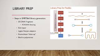 PacBio SMRT Sequencing Overview [upl. by Eilla]