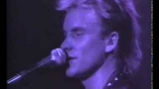 Sting amp Police  King Of Pain Live [upl. by Gizela]