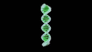 Designing Droplet Digital PCR Assays [upl. by Greenman]