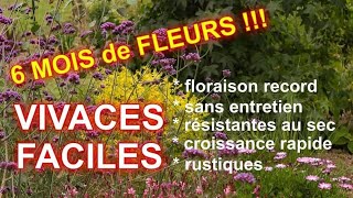 VIVACES FACILES à TRES LONGUE FLORAISON  5 super plantes [upl. by Chapin]