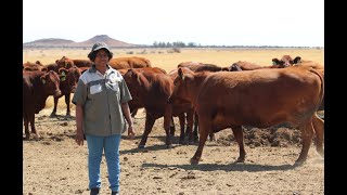 African Farming  Palesa Moahlodi never gave up Full Episode [upl. by Sletten]