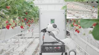 GreenTech Innovation Awards 2022  Category Innovation Berry by Organifarms [upl. by Asirb]