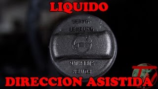 Comprobar y rellenar liquido direccion asistida 🛠 [upl. by Reidar]