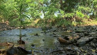 Natural Stream Restoration Streams in Nature Part I [upl. by Klehm]