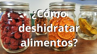 ¿Cómo deshidratar alimentos [upl. by Liza]