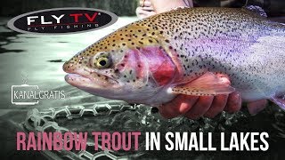 FLY TV  Rainbow Trout Fly Fishing in Small Lakes [upl. by Akcirred]