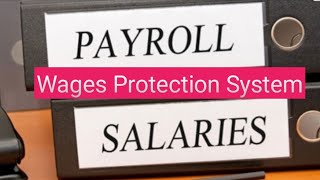 Wages Protection System WPS in UAE  How to Pay salaries   Toqeer Academy [upl. by Yeldahc]