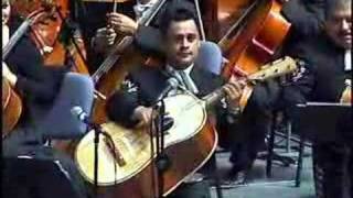 VIOLIN HUAPANGO MARIACHI VARGAS DE TECALITLAN [upl. by Ariahs761]