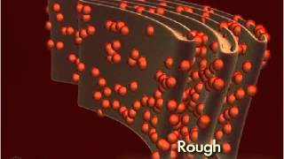 Endoplasmic Reticulum Rough 3D [upl. by Ashlee818]