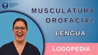 Musculatura Orofacial  Lengua  Logopedia [upl. by Liahcim440]