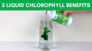 5 Chlorophyll Benefits for Health  Top Liquid Chlorophylls [upl. by Wehtam]