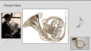 Introduction to Music Appreciation  Lesson 07  Exploring Brass Instruments [upl. by Ijat]