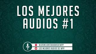 LOS MEJORES AUDIOS DE WHATSAPP  COMPILADO 1 [upl. by Newbill260]