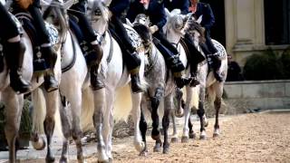 Cómo bailan los caballos andaluces [upl. by Grant778]