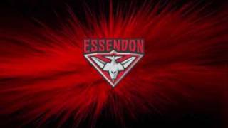 AFL Theme Song Essendon Bombers Football Club [upl. by Eilsew]