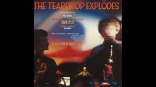 The Teardrop Explodes  Books [upl. by Ime33]