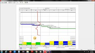 Printing Columns Gantt Chart and Profile in Primavera P6 [upl. by Aniuqaoj]