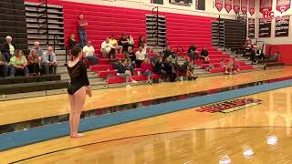 Gymnastics vs Somerville [upl. by Flemming]