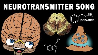 THE NEUROTRANSMITTER SONG [upl. by Bernadina]