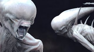 The NEOMORPH Explained [upl. by New]