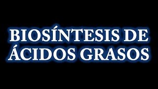 Biosíntesis de Ácidos Grasos [upl. by Mimi]