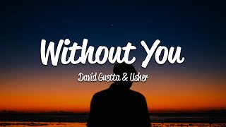 David Guetta  Without You Lyrics ft Usher [upl. by Nola]