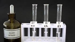 Test for halides [upl. by Eimac]