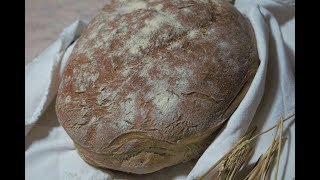 Pane Integrale Fatto in Casa [upl. by Jennilee]